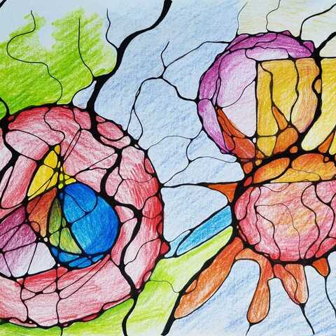 Neurografica Modul NeuroSinteza Xeral 9